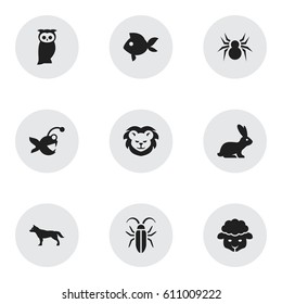 Set Of 9 Editable Zoo Icons. Includes Symbols Such As Fish, Turbot, Rabbit And More. Can Be Used For Web, Mobile, UI And Infographic Design.