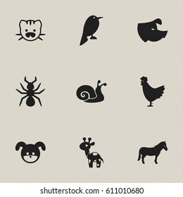 Set Of 9 Editable Zoo Icons. Includes Symbols Such As Philomel, Giraffe, Bedbug And More. Can Be Used For Web, Mobile, UI And Infographic Design.
