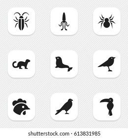 Set Of 9 Editable Zoo Icons. Includes Symbols Such As Rooster, Bug, Catbird And More. Can Be Used For Web, Mobile, UI And Infographic Design.