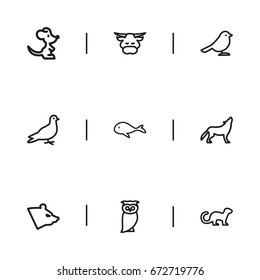 Set Of 9 Editable Zoo Icons. Includes Symbols Such As Polecat, Crow, Mouse And More. Can Be Used For Web, Mobile, UI And Infographic Design.