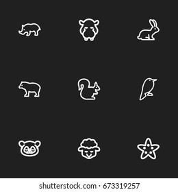 Set Of 9 Editable Zoo Icons. Includes Symbols Such As Panda, Rabbit, Rhinoceros. Can Be Used For Web, Mobile, UI And Infographic Design.
