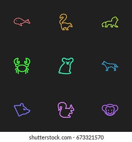Set Of 9 Editable Zoo Icons. Includes Symbols Such As Crab, Wildcat, Cachalot And More. Can Be Used For Web, Mobile, UI And Infographic Design.
