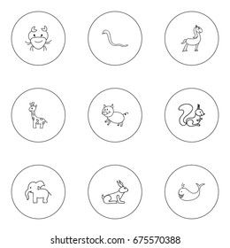 Set Of 9 Editable Zoo Icons. Includes Symbols Such As Elephant, Swine, Rabbit And More. Can Be Used For Web, Mobile, UI And Infographic Design.