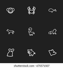 Set Of 9 Editable Zoo Icons. Includes Symbols Such As Polar, Cachalot, Smelly Animal And More. Can Be Used For Web, Mobile, UI And Infographic Design.