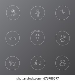 Set Of 9 Editable Zoo Icons. Includes Symbols Such As Lobster, Polar Bird, Swine And More. Can Be Used For Web, Mobile, UI And Infographic Design.