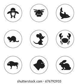Set Of 9 Editable Zoo Icons. Includes Symbols Such As Chimpanzee, Wildlife Castor, Lobster And More. Can Be Used For Web, Mobile, UI And Infographic Design.