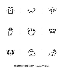 Set Of 9 Editable Zoo Icons. Includes Symbols Such As Bun, Bear, Proboscis And More. Can Be Used For Web, Mobile, UI And Infographic Design.