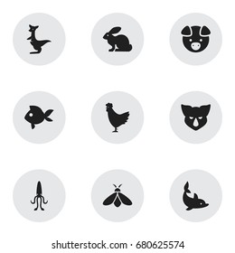 Set Of 9 Editable Zoo Icons. Includes Symbols Such As Turbot, Octopus, Honey And More. Can Be Used For Web, Mobile, UI And Infographic Design.