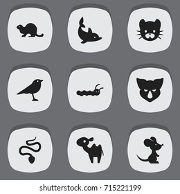Set Of 9 Editable Zoo Icons. Includes Symbols Such As Wildlife Castor, Catbird, Serpent And More. Can Be Used For Web, Mobile, UI And Infographic Design.