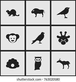 Set Of 9 Editable Zoo Icons. Includes Symbols Such As Conch, Camelopard, Gazelle And More. Can Be Used For Web, Mobile, UI And Infographic Design.