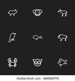 Set Of 9 Editable Zoo Outline Icons. Can Be Used For Web, Mobile, UI And Infographic Design.