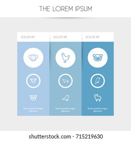 Set Of 9 Editable Zoo Outline Icons. Includes Symbols Such As Predator Bird, Philomel, Canine And More. Can Be Used For Web, Mobile, UI And Infographic Design.