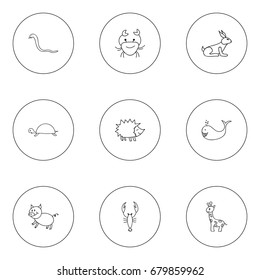 Set Of 9 Editable Zoology Doodles. Includes Symbols Such As Tall Animal, Urchin, Lobster And More. Can Be Used For Web, Mobile, UI And Infographic Design.