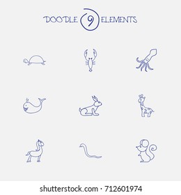 Set Of 9 Editable Zoology Doodles. Includes Symbols Such As Cachalot, Lobster, Pony And More. Can Be Used For Web, Mobile, UI And Infographic Design.