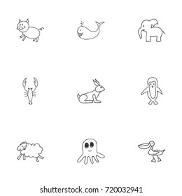 Set Of 9 Editable Zoology Doodles. Includes Symbols Such As Cachalot, Ewe, Lobster And More. Can Be Used For Web, Mobile, UI And Infographic Design.