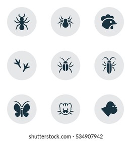 Set Of 9 Editable Zoology Icons. Includes Symbols Such As Beast, Cockroach, Bedbug And More. Can Be Used For Web, Mobile, UI And Infographic Design.