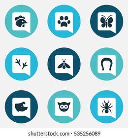 Set Of 9 Editable Zoology Icons. Includes Symbols Such As Bedbug, Bird, Moth And More. Can Be Used For Web, Mobile, UI And Infographic Design.