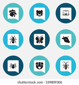 Set Of 9 Editable Zoology Icons. Includes Symbols Such As Bug, Beast, Moth And More. Can Be Used For Web, Mobile, UI And Infographic Design.