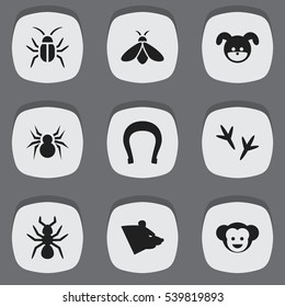 Set Of 9 Editable Zoology Icons. Includes Symbols Such As Bedbug, Puppy, Arachind And More. Can Be Used For Web, Mobile, UI And Infographic Design.