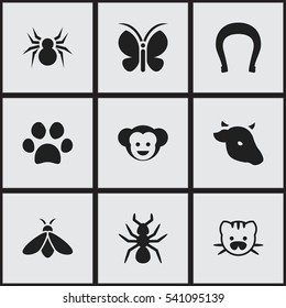 Set Of 9 Editable Zoology Icons. Includes Symbols Such As Baboon, Beast, Bull And More. Can Be Used For Web, Mobile, UI And Infographic Design.