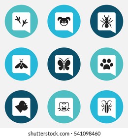 Set Of 9 Editable Zoology Icons. Includes Symbols Such As Footprint, Puppy, Bedbug And More. Can Be Used For Web, Mobile, UI And Infographic Design.