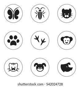 Set Of 9 Editable Zoology Icons. Includes Symbols Such As Footprint, Moth, Baboon And More. Can Be Used For Web, Mobile, UI And Infographic Design.