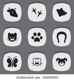 Set Of 9 Editable Zoology Icons. Includes Symbols Such As Footprint, Puppy, Beast And More. Can Be Used For Web, Mobile, UI And Infographic Design.