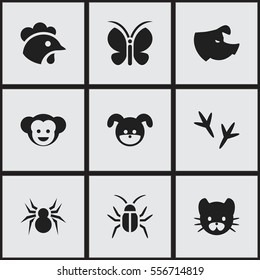 Set Of 9 Editable Zoology Icons. Includes Symbols Such As Cockroach, Baboon, Sow And More. Can Be Used For Web, Mobile, UI And Infographic Design.
