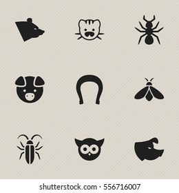 Set Of 9 Editable Zoology Icons. Includes Symbols Such As Hog, Beast, Honey And More. Can Be Used For Web, Mobile, UI And Infographic Design.