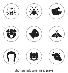 Set Of 9 Editable Zoology Icons. Includes Symbols Such As Cockroach, Feline, Chimpanzee And More. Can Be Used For Web, Mobile, UI And Infographic Design.