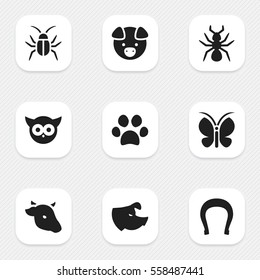 Set Of 9 Editable Zoology Icons. Includes Symbols Such As Moth, Forepaw, Sow And More. Can Be Used For Web, Mobile, UI And Infographic Design.