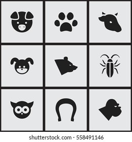 Set Of 9 Editable Zoology Icons. Includes Symbols Such As Bull, Puppy, Bug And More. Can Be Used For Web, Mobile, UI And Infographic Design.