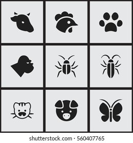 Set Of 9 Editable Zoology Icons. Includes Symbols Such As Beast, Moth, Bull And More. Can Be Used For Web, Mobile, UI And Infographic Design.