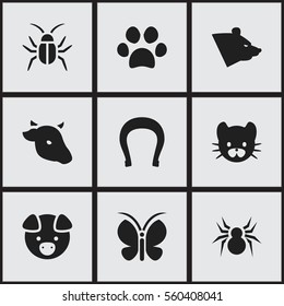 Set Of 9 Editable Zoology Icons. Includes Symbols Such As Talisman, Grizzly, Hog And More. Can Be Used For Web, Mobile, UI And Infographic Design.