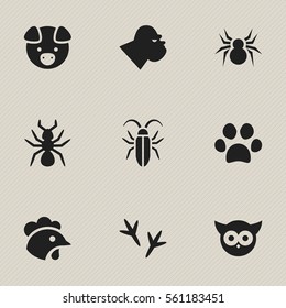 Set Of 9 Editable Zoology Icons. Includes Symbols Such As Arachind, Footprint, Bedbug And More. Can Be Used For Web, Mobile, UI And Infographic Design.