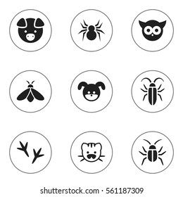 Set Of 9 Editable Zoology Icons. Includes Symbols Such As Arachind, Hog, Bird And More. Can Be Used For Web, Mobile, UI And Infographic Design.