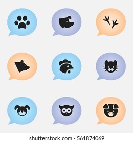 Set Of 9 Editable Zoology Icons. Includes Symbols Such As Footprint, Grizzly, Bird And More. Can Be Used For Web, Mobile, UI And Infographic Design.