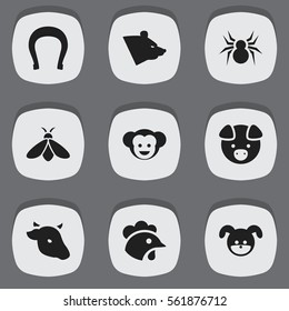 Set Of 9 Editable Zoology Icons. Includes Symbols Such As Hog, Arachind, Rooster And More. Can Be Used For Web, Mobile, UI And Infographic Design.