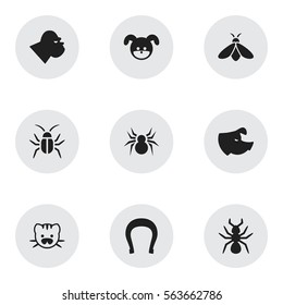 Set Of 9 Editable Zoology Icons. Includes Symbols Such As Beast, Chimpanzee, Cockroach And More. Can Be Used For Web, Mobile, UI And Infographic Design.