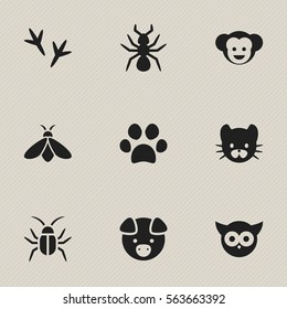 Set Of 9 Editable Zoology Icons. Includes Symbols Such As Footprint, Forepaw, Baboon And More. Can Be Used For Web, Mobile, UI And Infographic Design.