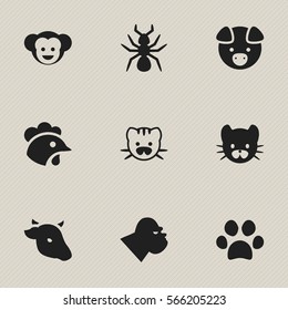 Set Of 9 Editable Zoology Icons. Includes Symbols Such As Forepaw, Chimpanzee, Rooster And More. Can Be Used For Web, Mobile, UI And Infographic Design.