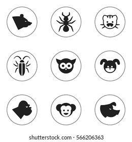 Set Of 9 Editable Zoology Icons. Includes Symbols Such As Grizzly, Bird, Beast And More. Can Be Used For Web, Mobile, UI And Infographic Design.