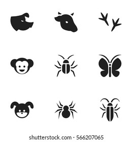 Set Of 9 Editable Zoology Icons. Includes Symbols Such As Bug, Sow, Moth And More. Can Be Used For Web, Mobile, UI And Infographic Design.