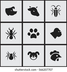 Set Of 9 Editable Zoology Icons. Includes Symbols Such As Bull, Puppy, Bedbug And More. Can Be Used For Web, Mobile, UI And Infographic Design.