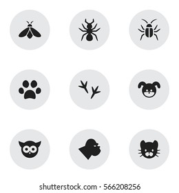 Set Of 9 Editable Zoology Icons. Includes Symbols Such As Cockroach, Puppy, Chimpanzee And More. Can Be Used For Web, Mobile, UI And Infographic Design.