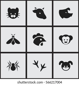 Set Of 9 Editable Zoology Icons. Includes Symbols Such As Honey, Puppy, Bull And More. Can Be Used For Web, Mobile, UI And Infographic Design.