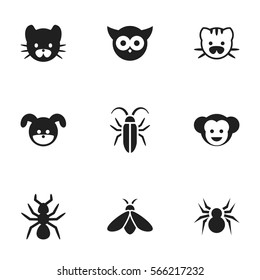 Set Of 9 Editable Zoology Icons. Includes Symbols Such As Bug, Baboon, Puppy And More. Can Be Used For Web, Mobile, UI And Infographic Design.