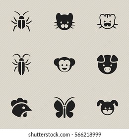 Set Of 9 Editable Zoology Icons. Includes Symbols Such As Bug, Feline, Beast And More. Can Be Used For Web, Mobile, UI And Infographic Design.