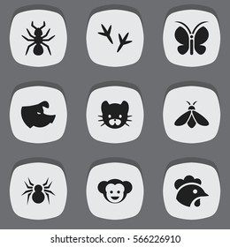 Set Of 9 Editable Zoology Icons. Includes Symbols Such As Honey, Sow, Bedbug And More. Can Be Used For Web, Mobile, UI And Infographic Design.