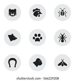 Set Of 9 Editable Zoology Icons. Includes Symbols Such As Rooster, Cockroach, Talisman And More. Can Be Used For Web, Mobile, UI And Infographic Design.